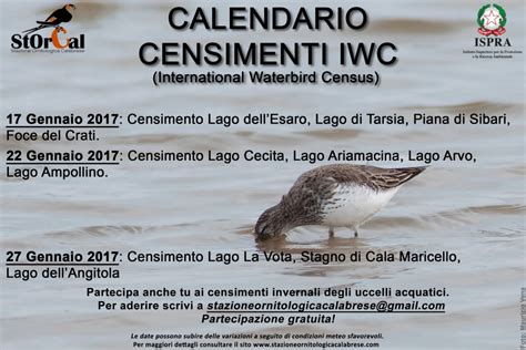 censimenti iwc test|Censimenti Uccelli Acquatici .